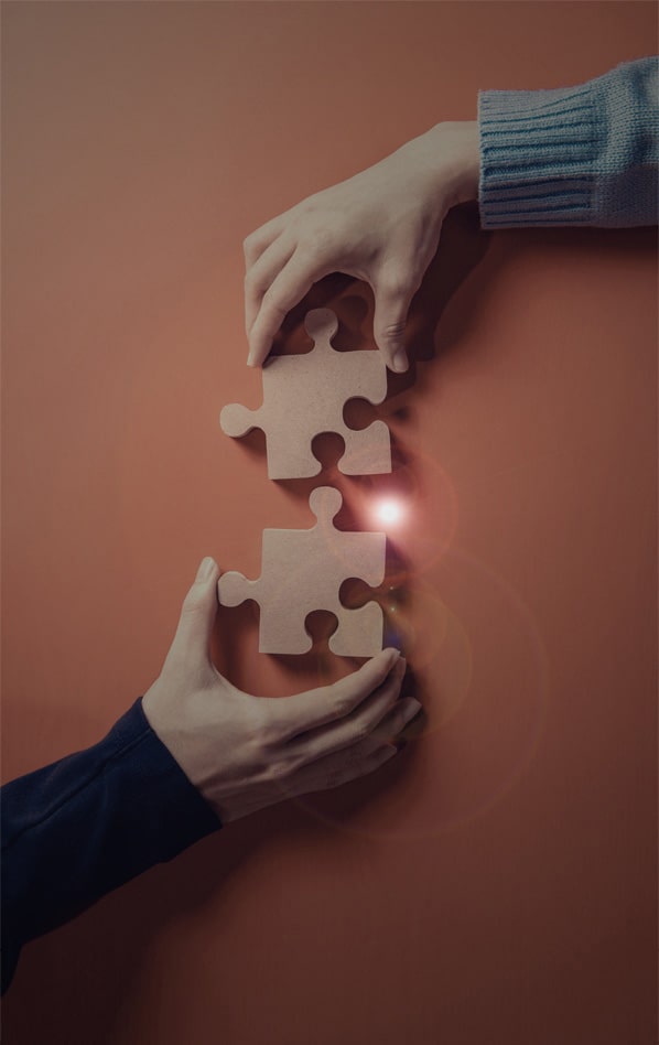 Partners & Clients